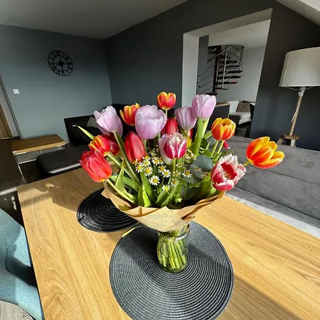 Pod Smokovcom Apartament *